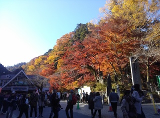 IMG02482.jpg