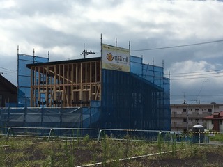 IMG_4816.JPG