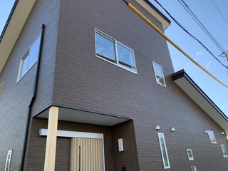IMG_5216.jpeg