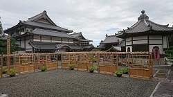 4