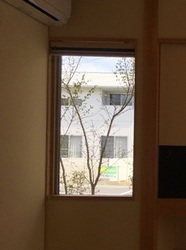 IMG_1861.jpg