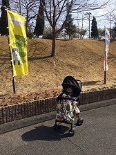 IMG_8022.jpg