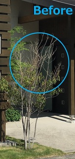 before.jpg