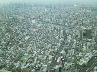 DSC_0246.jpg