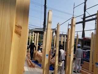 20190419_080905.jpg