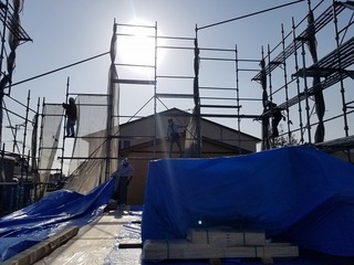 20200323_080716.jpg