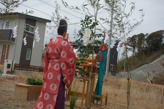 DSC00858.jpg