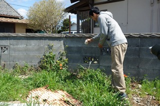 DSC01187.jpg