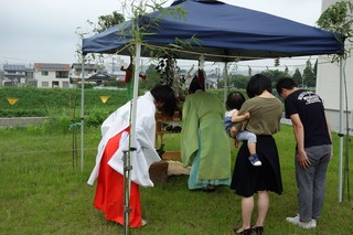 DSC01980.jpg
