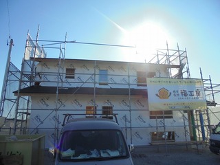 DSC04557.jpg