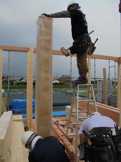 DSC08067.jpg