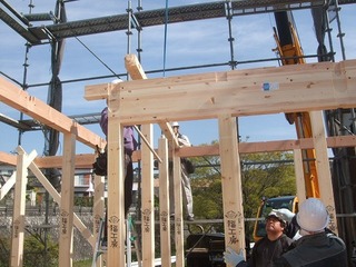 DSCF5155.jpg