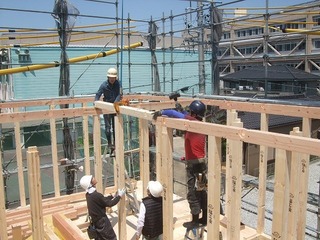 DSCF5235.jpg