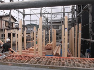 DSCF6001.jpg