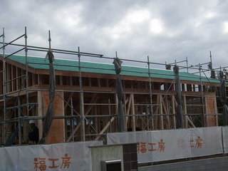 DSCF7147.jpg