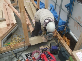 DSCF7372.jpg