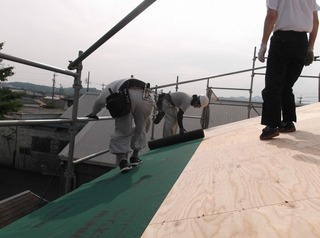 DSCF8014.jpg