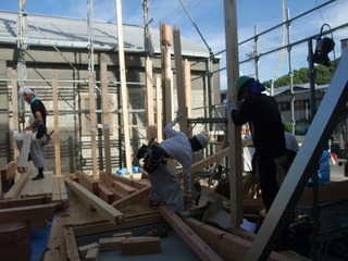 DSCF8542.jpg