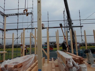 DSCN0646.jpg