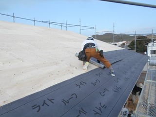 DSCN3638.jpg