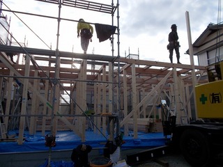 DSCN5115.jpg