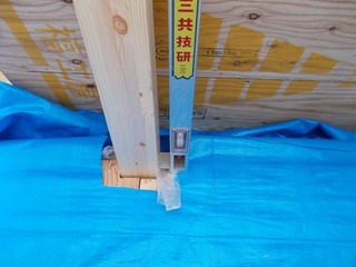 DSCN5120.jpg