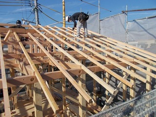 DSCN5142.jpg