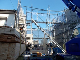 DSCN5274.jpg