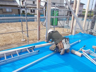 DSCN6235.jpg