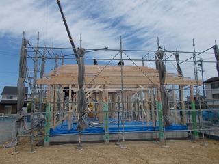 DSCN6254.jpg