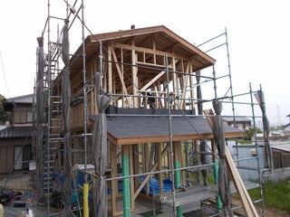 DSCN6537.jpg