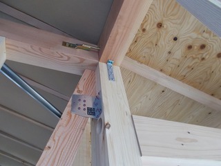 DSCN6552.jpg
