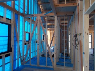 DSCN6556.jpg