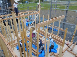 DSCN7954.jpg