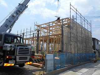 DSCN7980.jpg