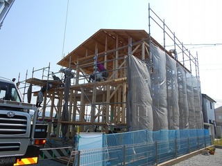 DSCN7995.jpg