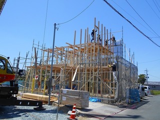 DSCN8340.jpg