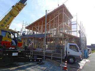 DSCN8371.jpg