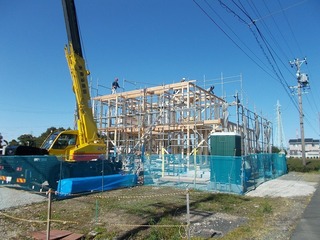 DSCN8648.jpg