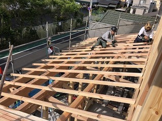 下野垂木.jpg