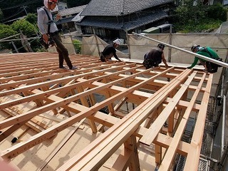 垂木野地.jpg