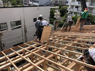 大屋根垂木.jpg
