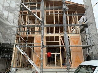 IMG_0246.jpg