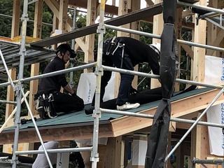 IMG_1020.jpg