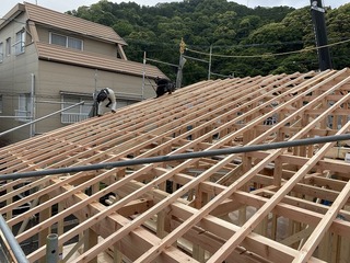 IMG_1247.jpg