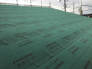 IMG_1360.jpg