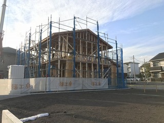 IMG_1560.jpg