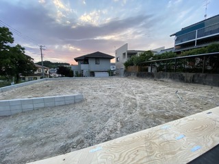 IMG_1599.jpeg