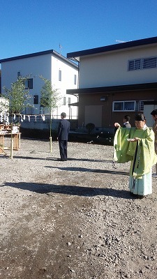 IMG_20171125_131213.jpg