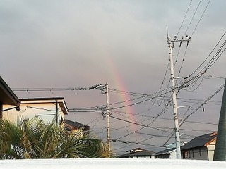 IMG_20191111_162505.jpg
